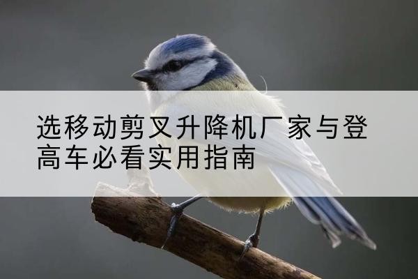 诸暨电动升降机厂家-选移动剪叉升降机厂家与登高车必看实用指南