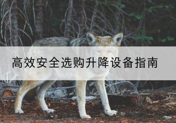 诸暨升降货梯厂家推荐-*安全选购升降设备指南
