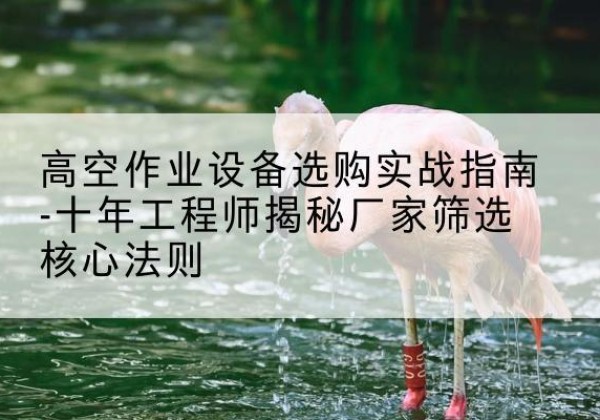 诸暨剪叉式升降机厂家-高空作业设备选购实战指南-十年工程师揭秘厂家筛选核心法则
